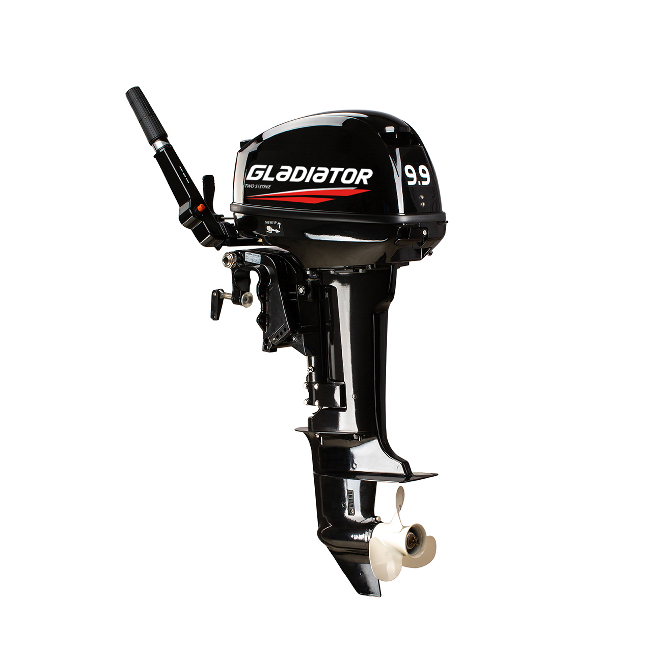 ЛОДОЧНЫЙ МОТОР GLADIATOR G9.9FHS в Щёлкове