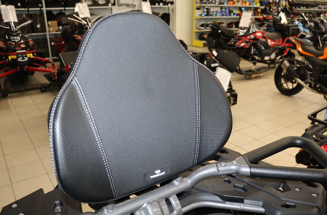 Квадроцикл PROMAX RENEGADE 300 LONG WINCH PRO (2025) в Щёлкове