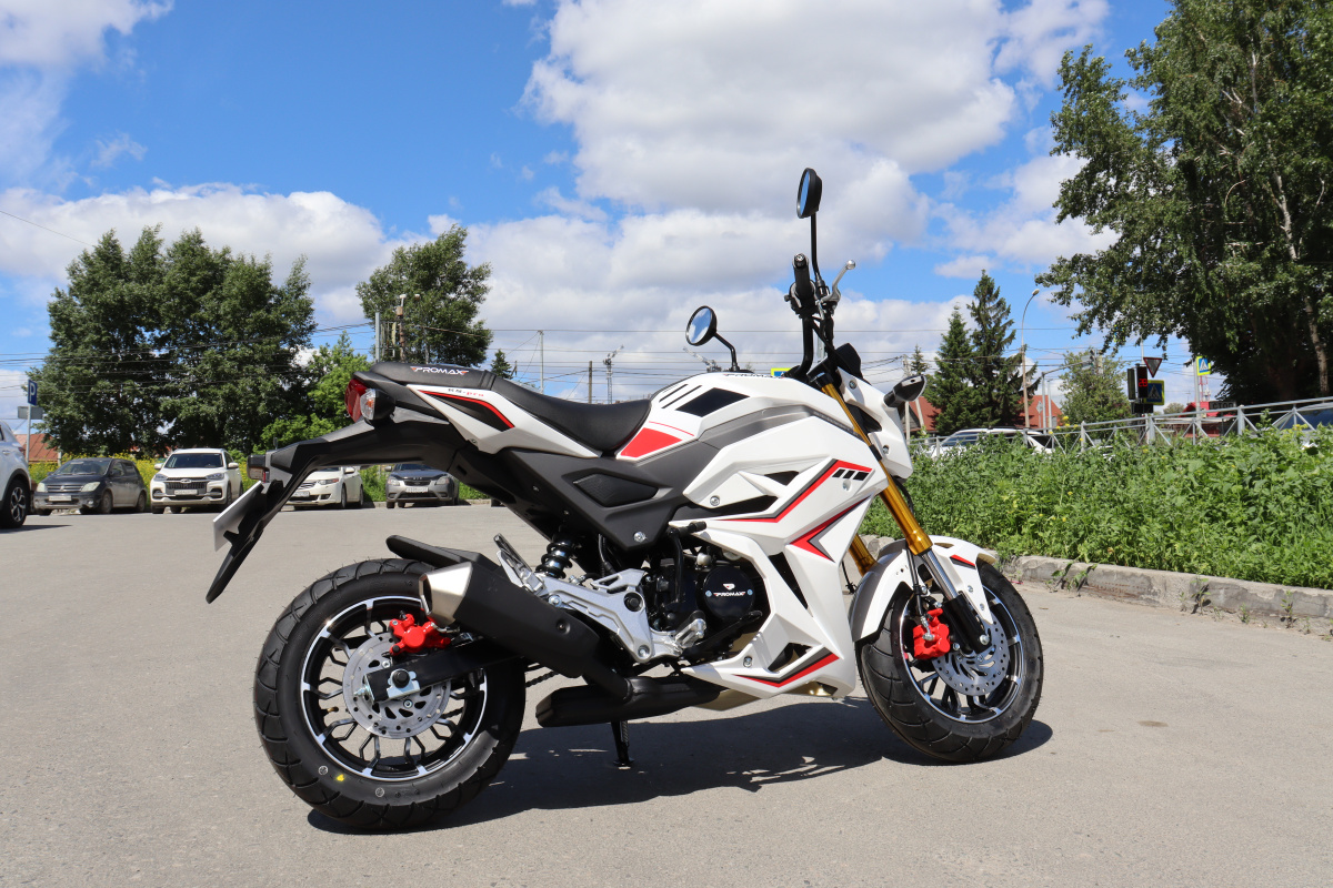 Мотоцикл PROMAX STRYKER 200(49) 2.0 в Щёлкове