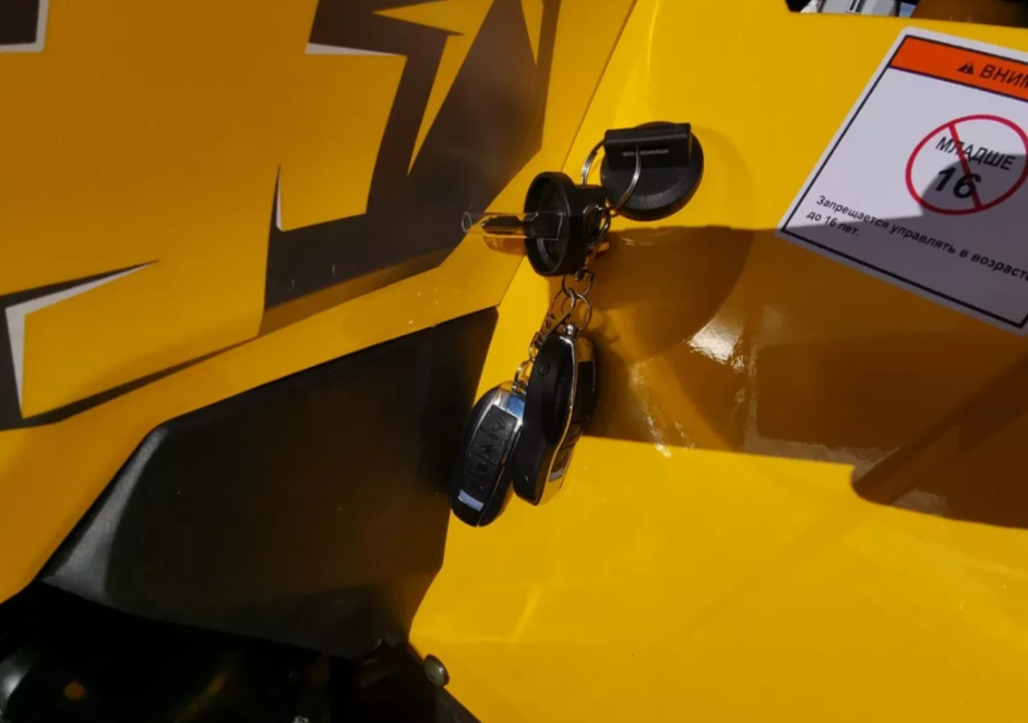 Квадроцикл MOTOLAND (МОТОЛЕНД) VOX200 WILD TRACK X PRO (баланс. вал) в Щёлкове