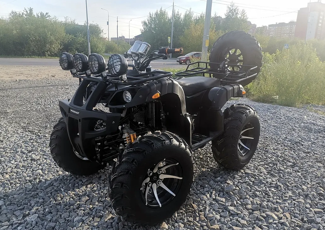 Квадроцикл PROMAX LEO 300 Max (кардан) в Щёлкове