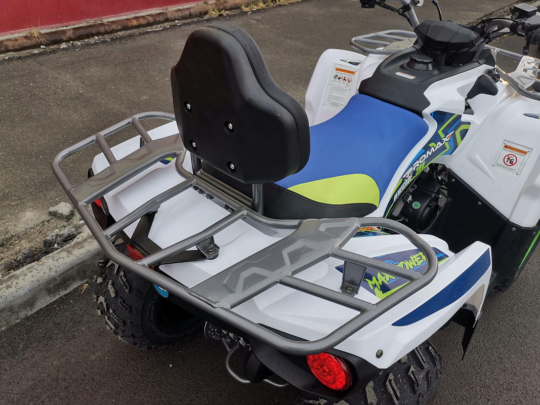 Квадроцикл PROMAX RENEGADE 280 LUX (2025) в Щёлкове