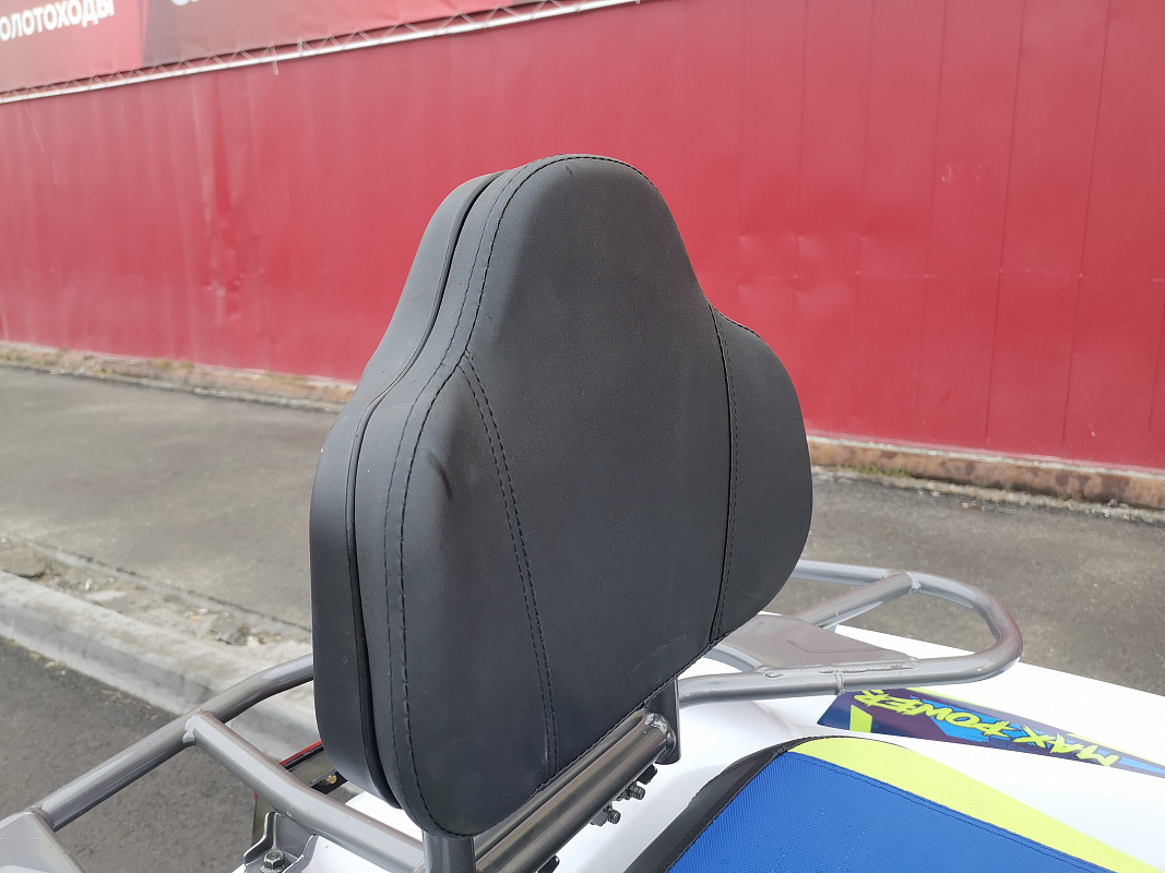 Квадроцикл PROMAX RENEGADE 280 LUX (2025) в Щёлкове