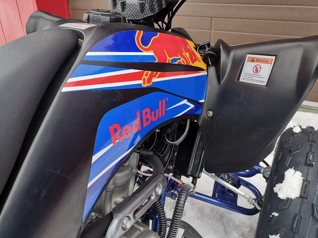 Квадроцикл PROMAX RAPTOR 300 NEW RedBull в Щёлкове