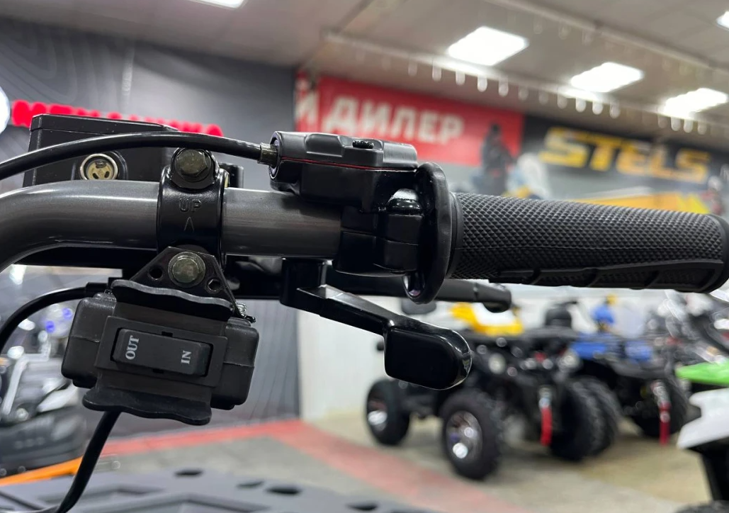 Квадроцикл PROMAX RENEGADE 300 LONG WINCH PRO (2025) в Щёлкове