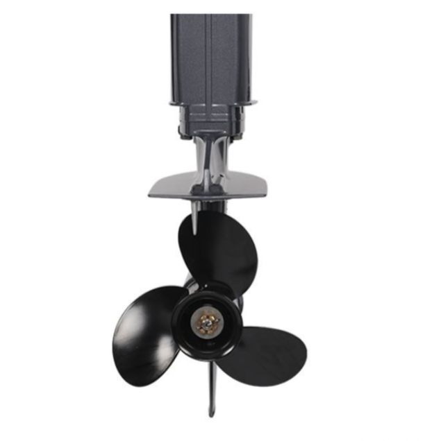 Лодочный мотор ALLFA CG Т40FW S в Щёлкове