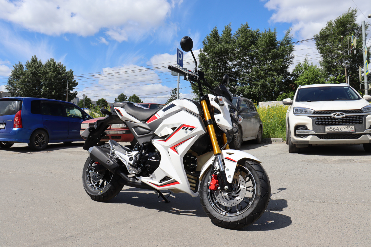 Мотоцикл PROMAX STRYKER 200(49) 2.0 в Щёлкове