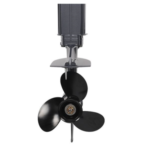 Лодочный мотор ALLFA CG Т40FWT S в Щёлкове