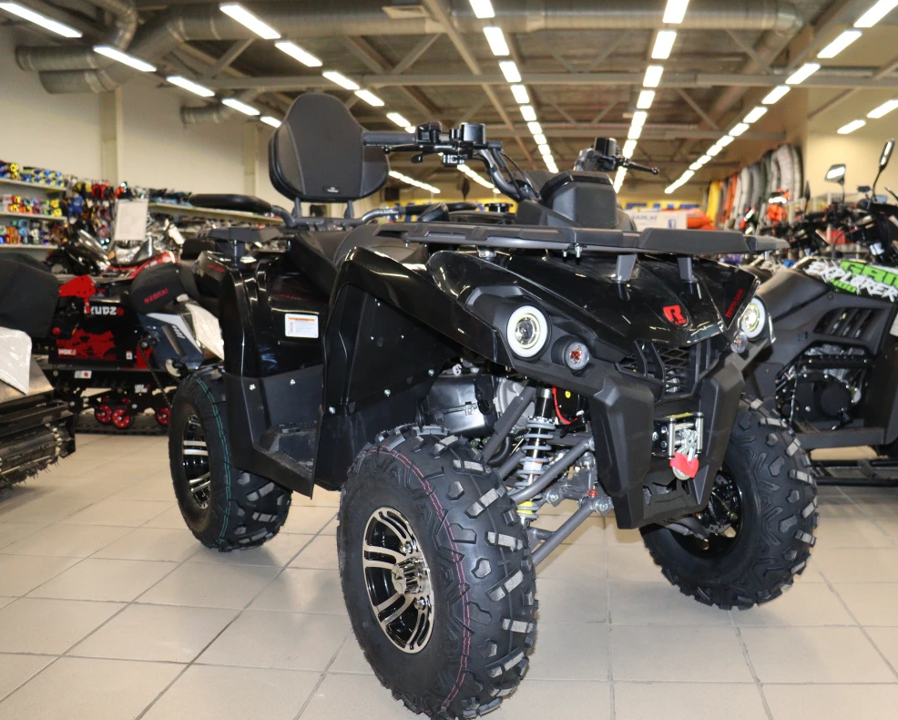 Квадроцикл PROMAX RENEGADE 300 LONG WINCH PRO (2025) в Щёлкове