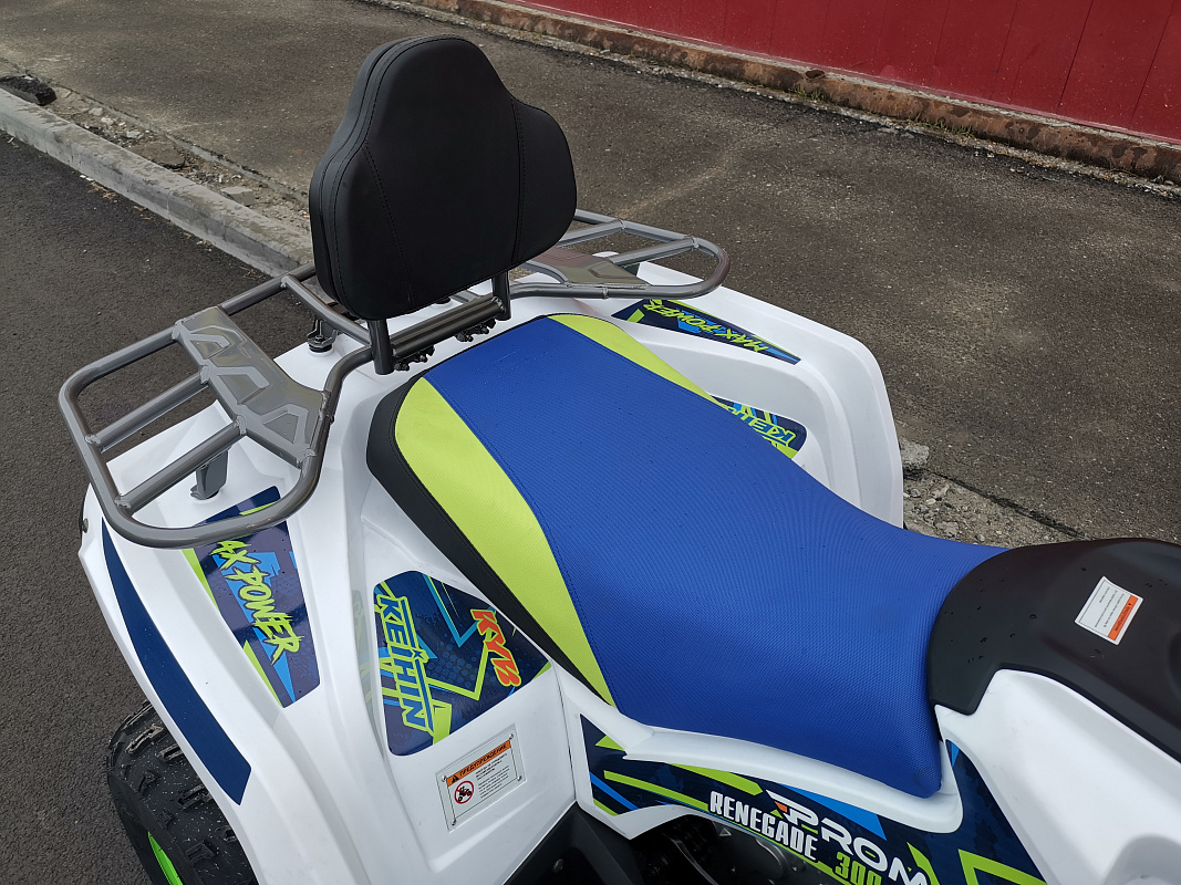 Квадроцикл PROMAX RENEGADE 280 LUX (2025) в Щёлкове
