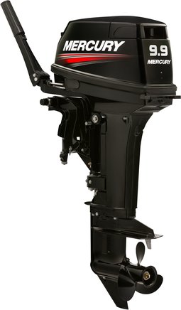 ЛОДОЧНЫЙ МОТОР MERCURY 9.9 MH TMC 247 CC в Щёлкове