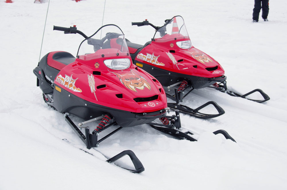 Снегоход РМ ТАЙГА РЫСЬ в Щёлкове