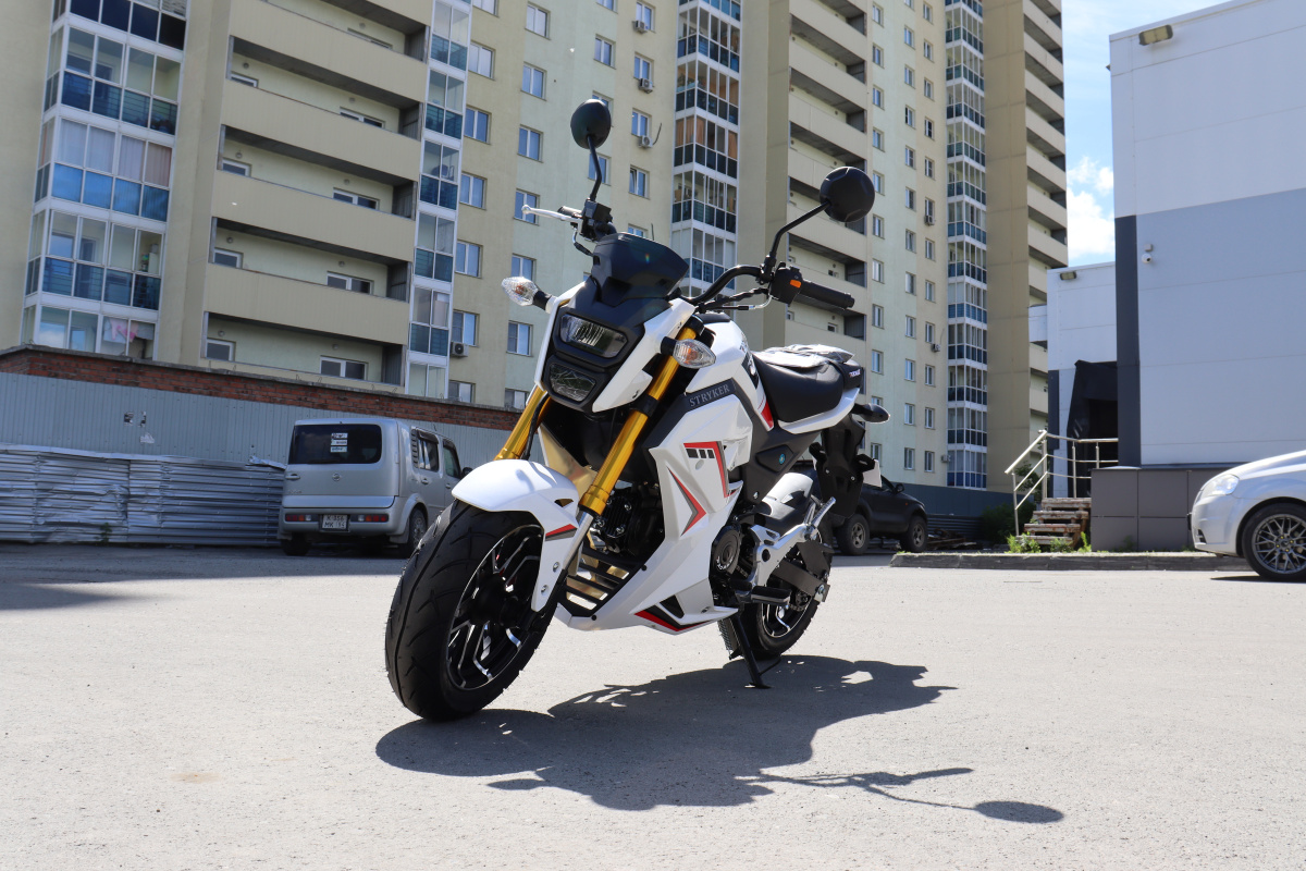 Мотоцикл PROMAX STRYKER 200(49) 2.0 в Щёлкове