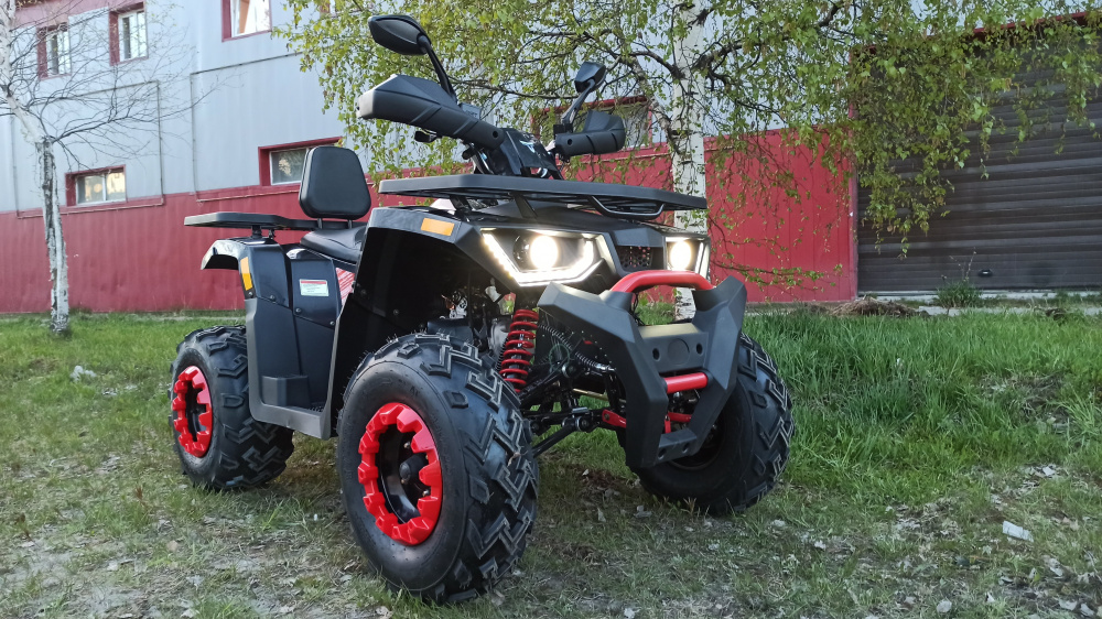 Квадроцикл PROMAX WILD 300 LUX (2024) в Щёлкове