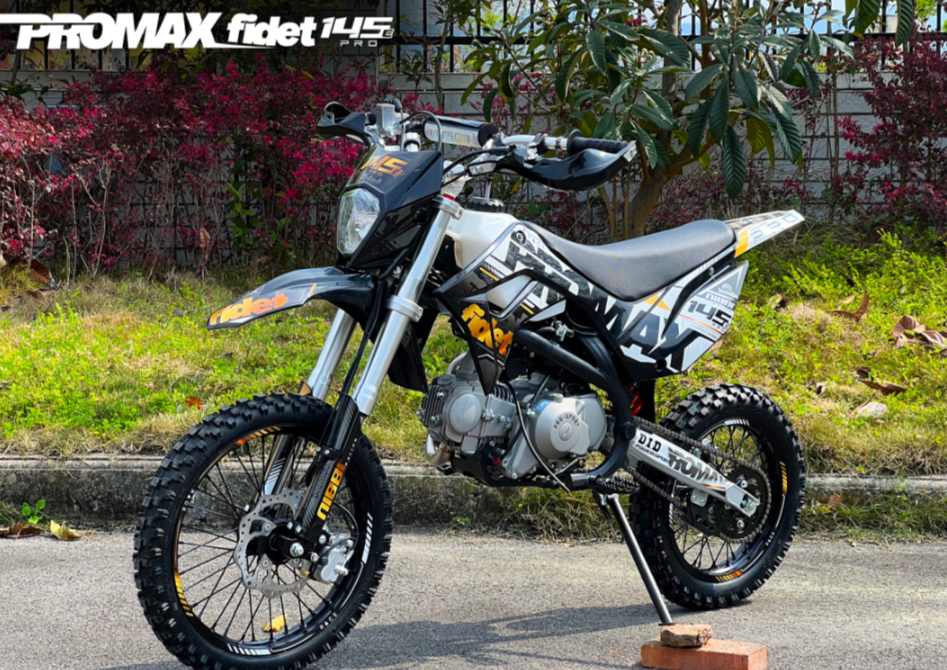 Мотоцикл (питбайк) PROMAX FIDET (ФАЙДЕТ) 145E PRO 17/14 в Щёлкове