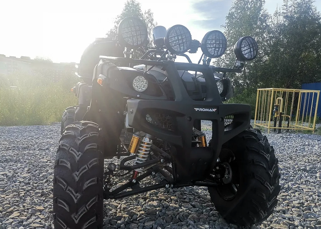 Квадроцикл PROMAX LEO 300 Max (кардан) в Щёлкове