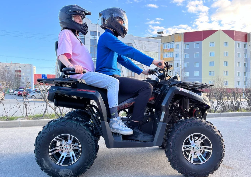 Квадроцикл PROMAX RENEGADE 300 LONG WINCH PRO (2025) в Щёлкове