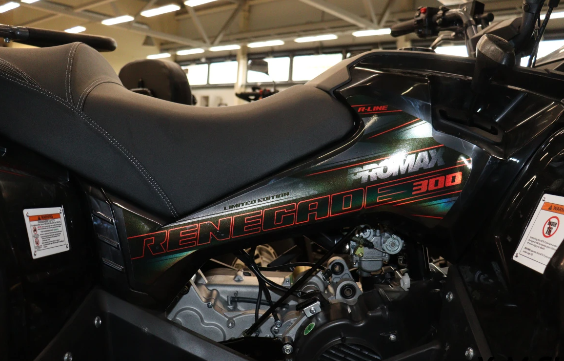 Квадроцикл PROMAX RENEGADE 300 LONG WINCH PRO (2025) в Щёлкове