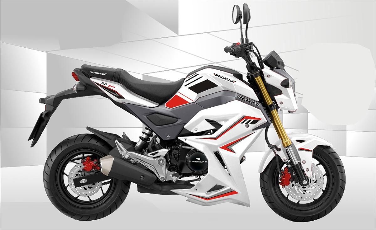 Мотоцикл PROMAX STRYKER 200(49) 2.0 в Щёлкове