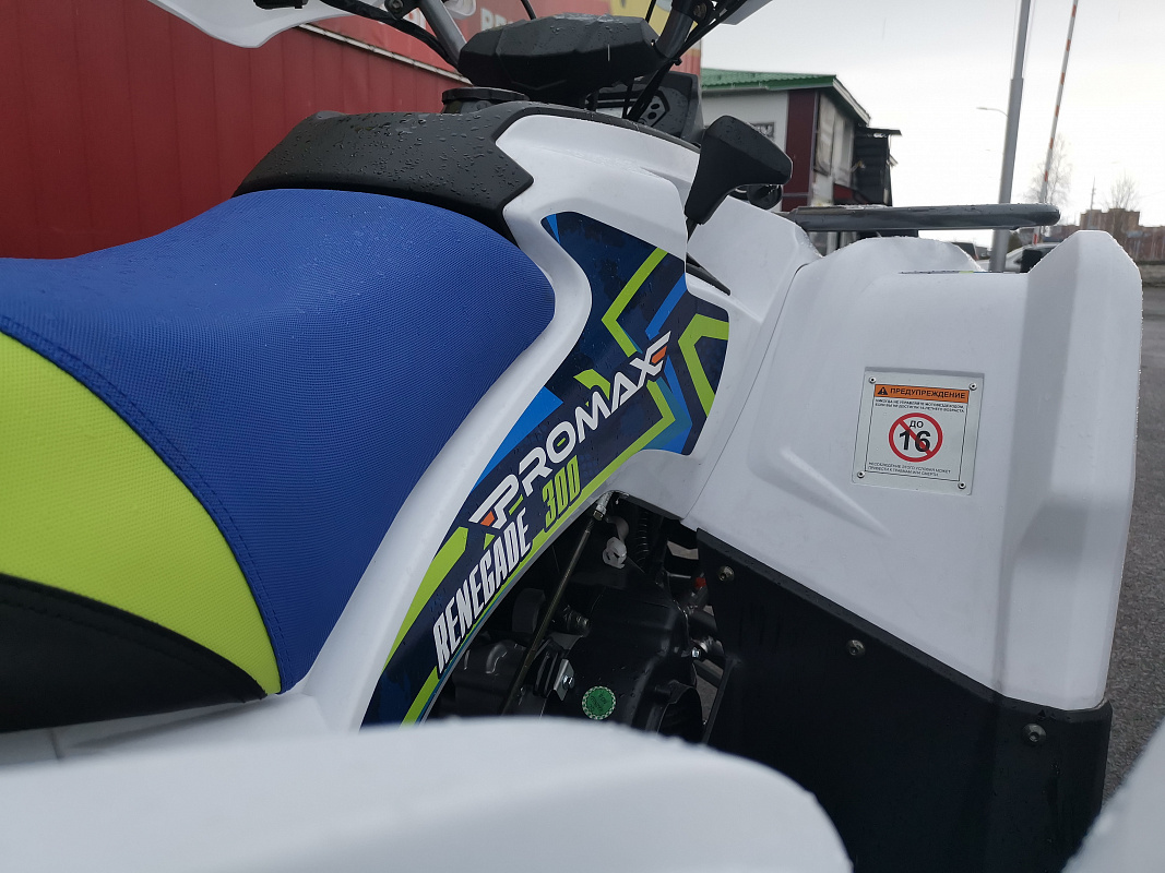 Квадроцикл PROMAX RENEGADE 280 LUX (2025) в Щёлкове
