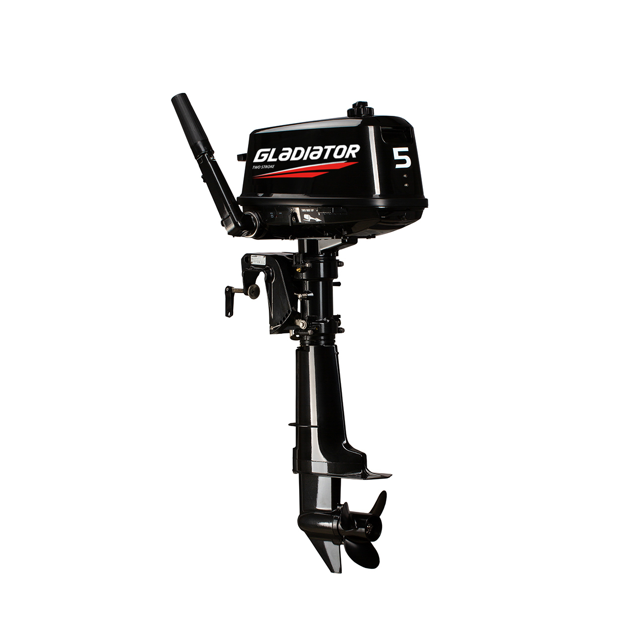 ЛОДОЧНЫЙ МОТОР GLADIATOR G5FHS в Щёлкове