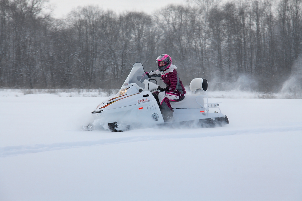 СНЕГОХОД РМ ТАЙГА ПАТРУЛЬ 551 SWT в Щёлкове