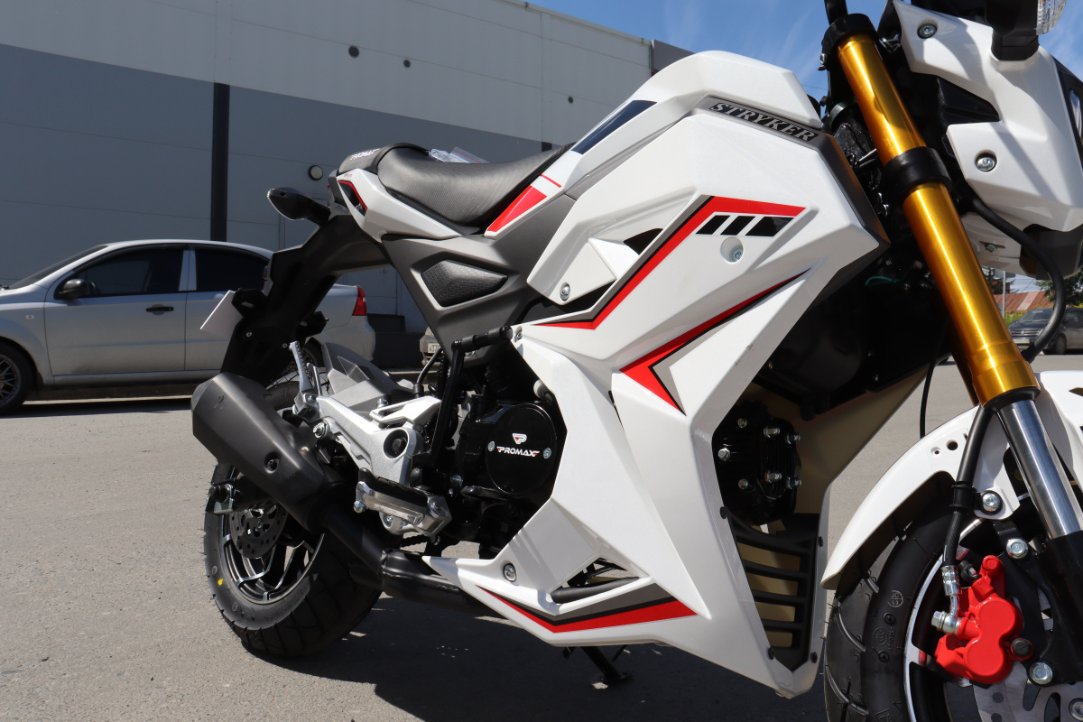 Мотоцикл PROMAX STRYKER 200(49) 2.0 в Щёлкове