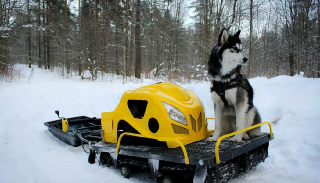Мотобуксировщик LEBEDEV MOTORS ВОЛКОДАВ POWER V13 в Щёлкове