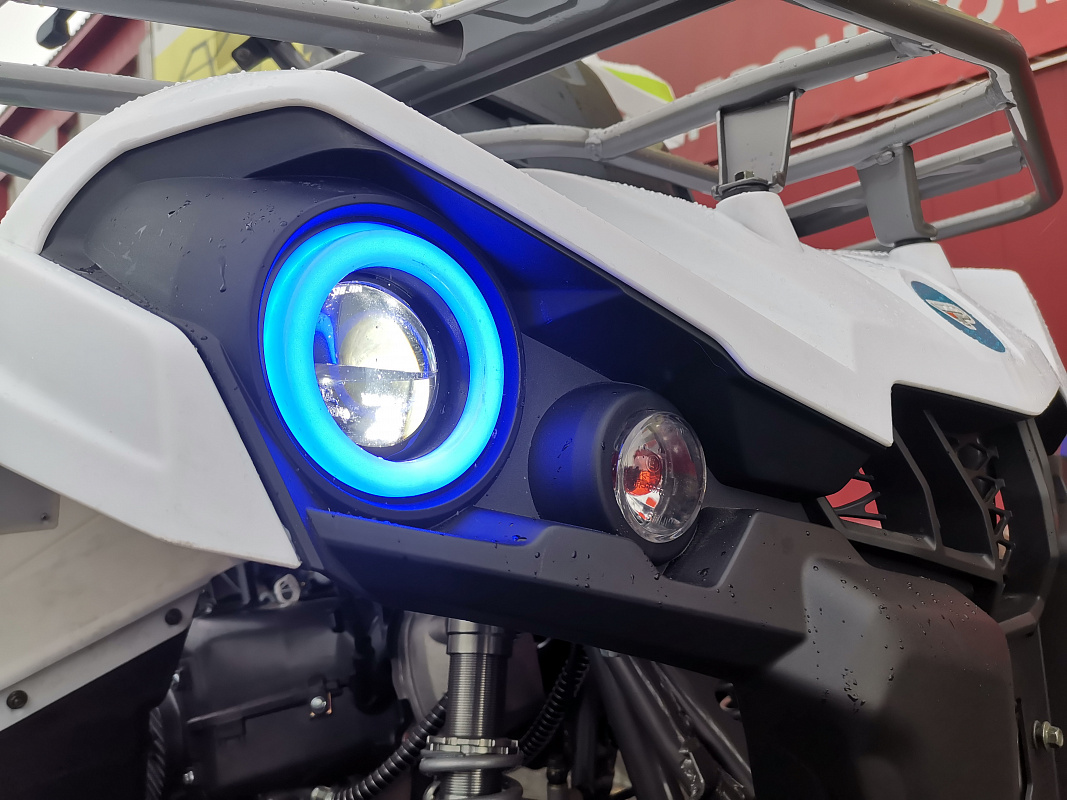 Квадроцикл PROMAX RENEGADE 280 LUX (2025) в Щёлкове