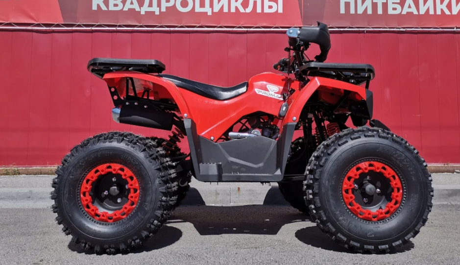 Квадроцикл PROMAX WILD 175 BASIC в Щёлкове
