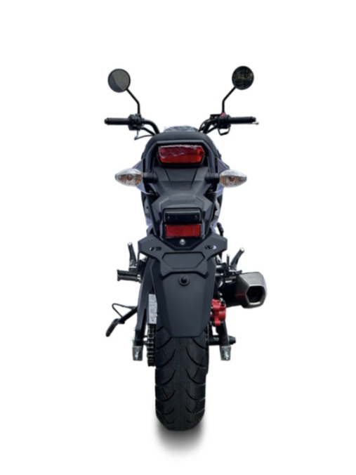 Мотоцикл PROMAX STRYKER 200(49) в Щёлкове