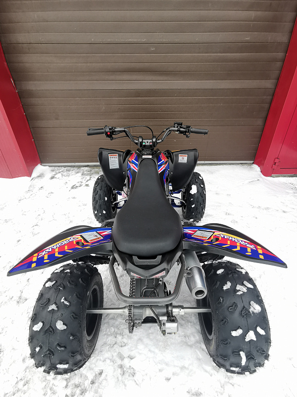 Квадроцикл PROMAX RAPTOR 300 NEW RedBull в Щёлкове