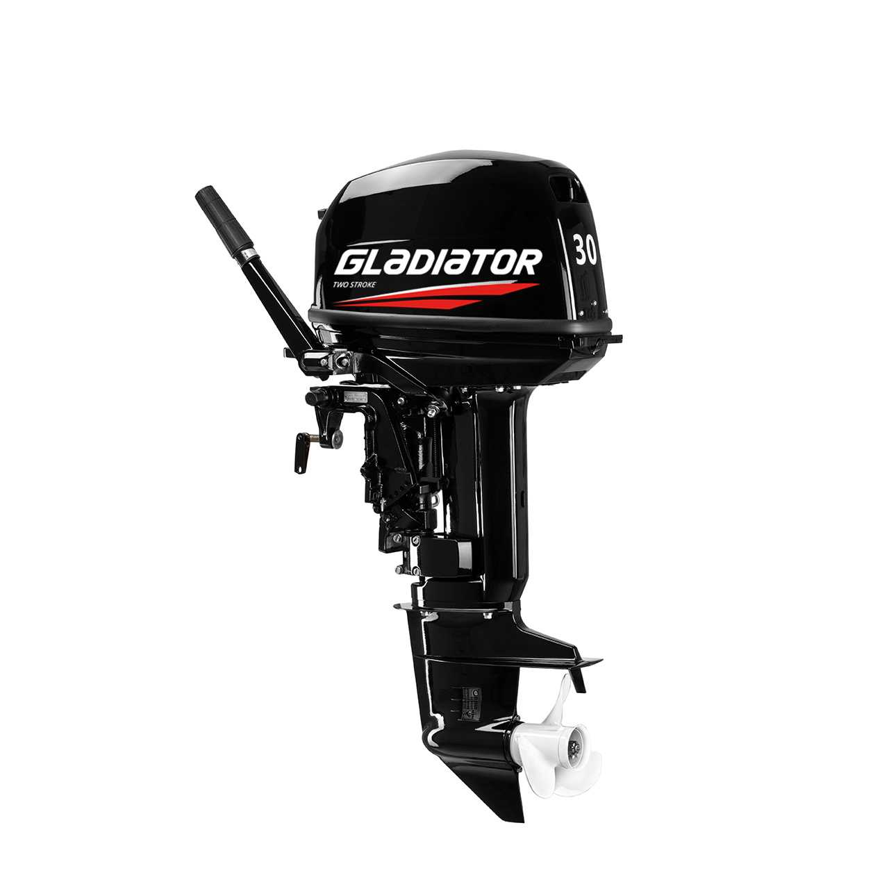 ЛОДОЧНЫЙ МОТОР GLADIATOR G30FHS в Щёлкове