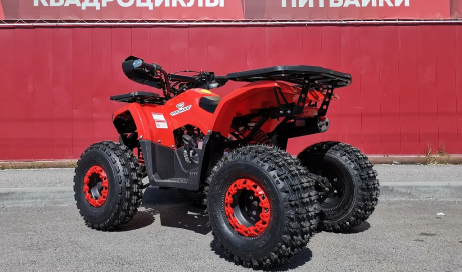 Квадроцикл PROMAX WILD 175 BASIC в Щёлкове