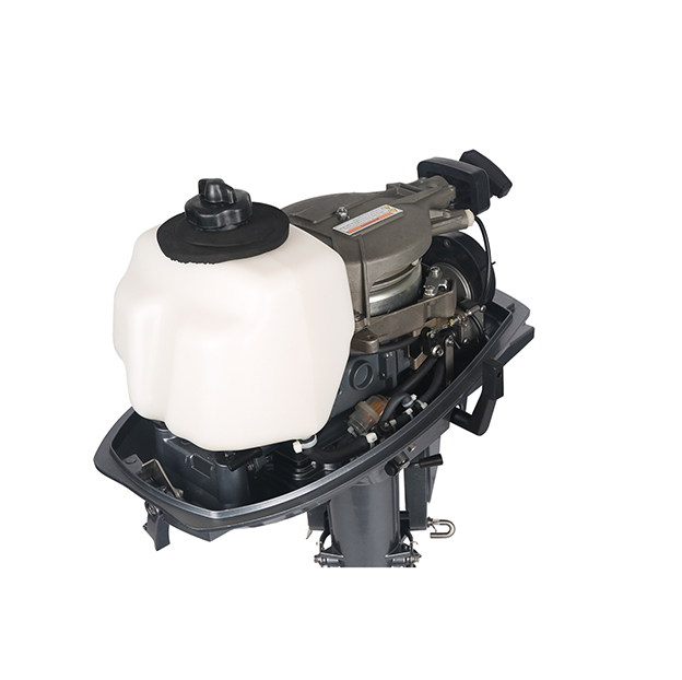 ЛОДОЧНЫЙ МОТОР ALLFA CG T5 в Щёлкове