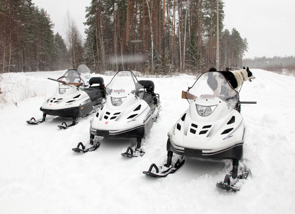 СНЕГОХОД РМ ТАЙГА ВАРЯГ 550 V в Щёлкове