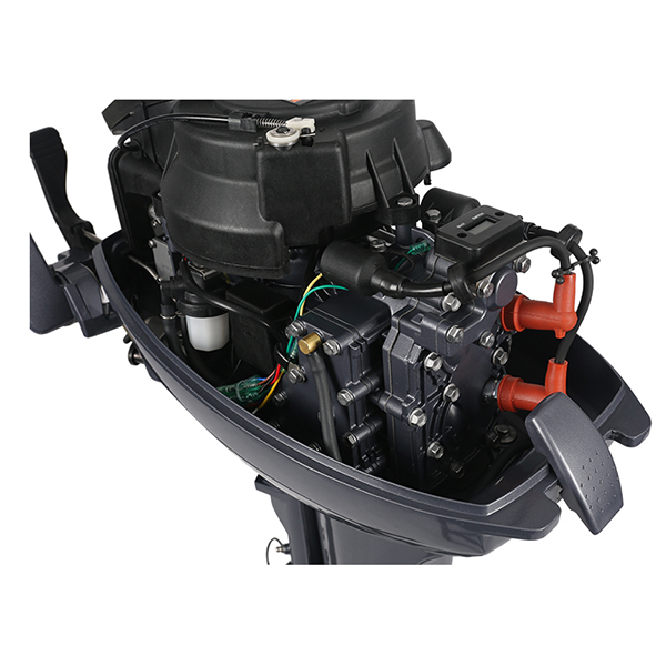 ЛОДОЧНЫЙ МОТОР ALLFA CG Т9,9 в Щёлкове