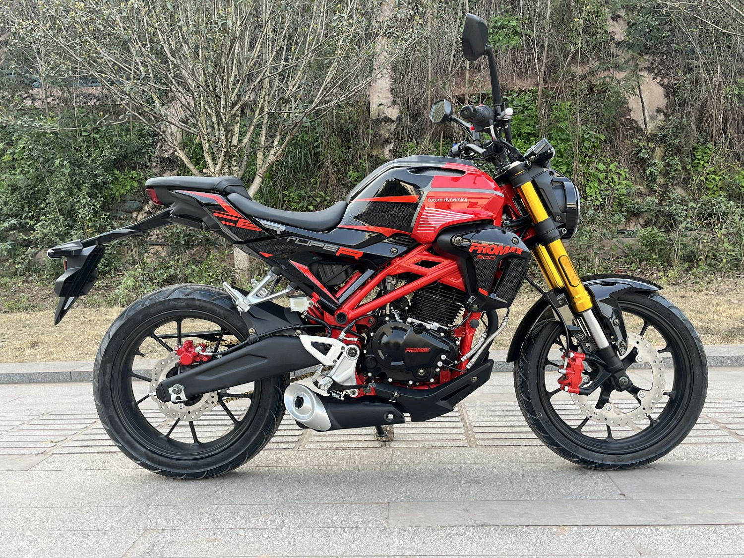 Мотоцикл PROMAX CB300RL (4V, 6G) в Щёлкове