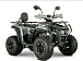 Квадроцикл YACOTA DRAGON LUX LD 150 PRO-SPORT в Щёлкове