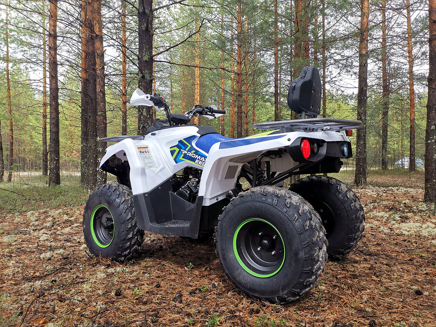 Квадроцикл PROMAX RENEGADE 280 (2025) в Щёлкове
