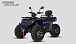 Квадроцикл PROMAX TAURUS 300 MAX-PRO LONG в Щёлкове