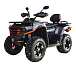 Квадроцикл MOTOLAND (МОТОЛЕНД) 300 MAX X в Щёлкове