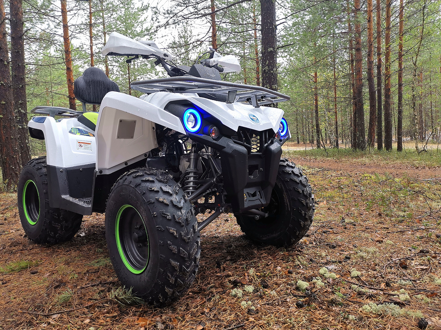 Квадроцикл PROMAX RENEGADE 280 (2025) в Щёлкове