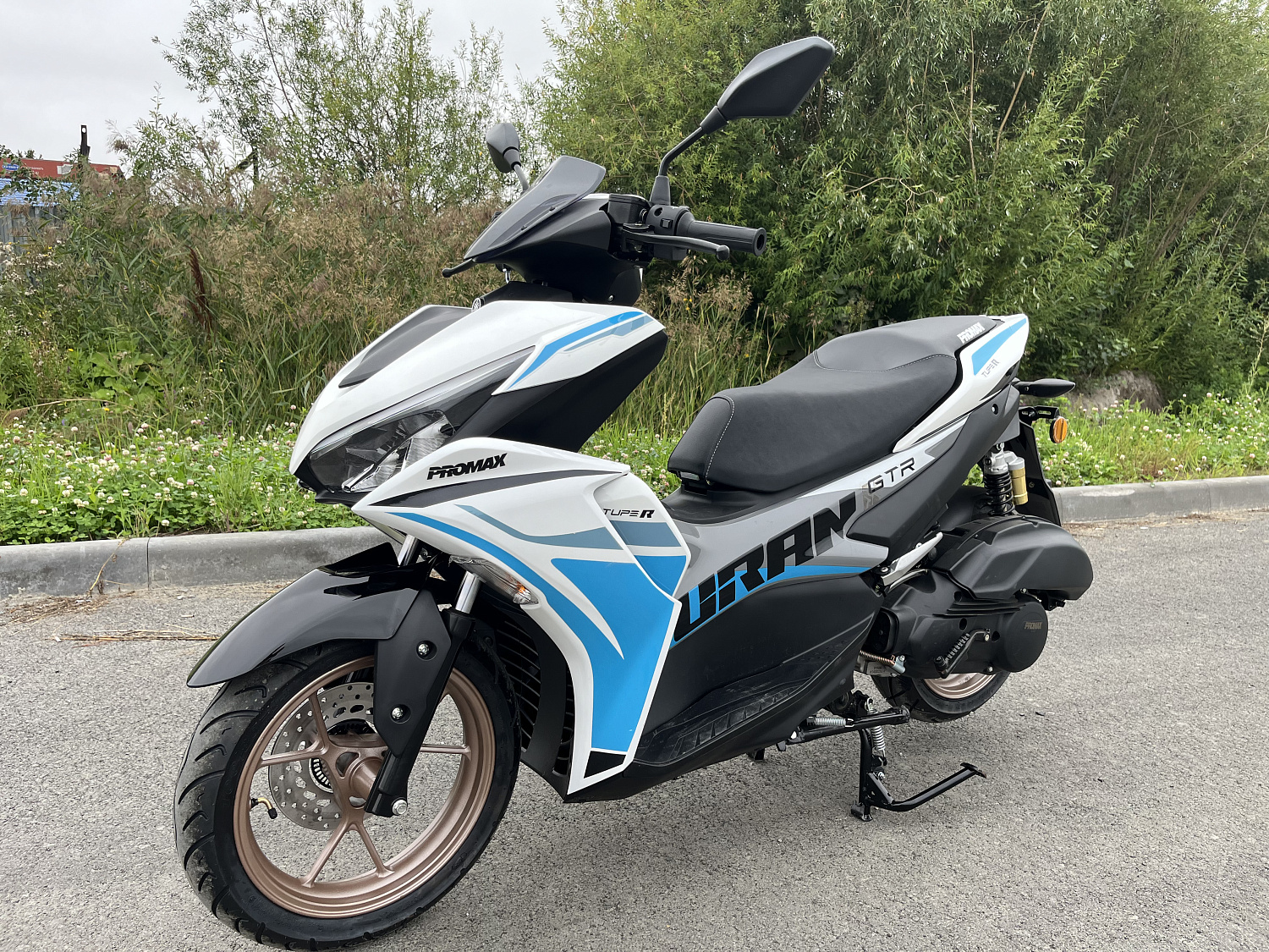 Скутер PROMAX TURAN 250 (49) в Щёлкове