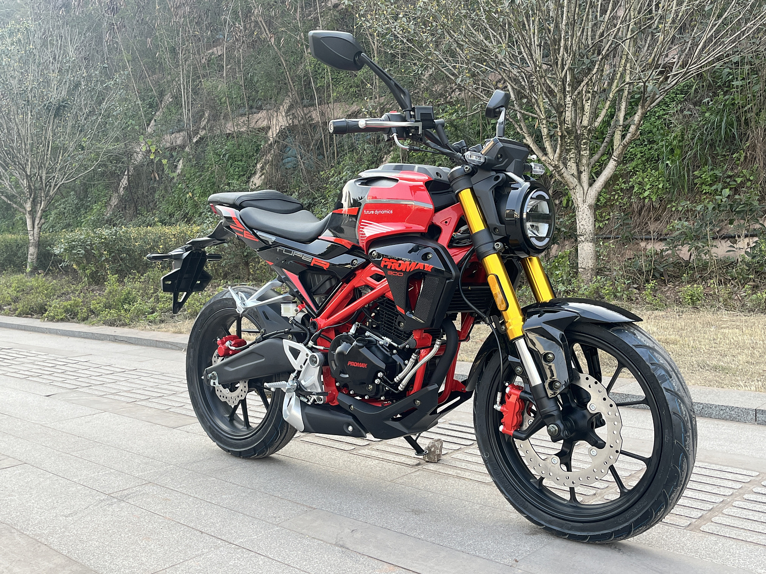 Мотоцикл PROMAX CB300 в Щёлкове