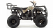 Квадроцикл MOTOLAND (МОТОЛЕНД) 200 ALL ROAD в Щёлкове