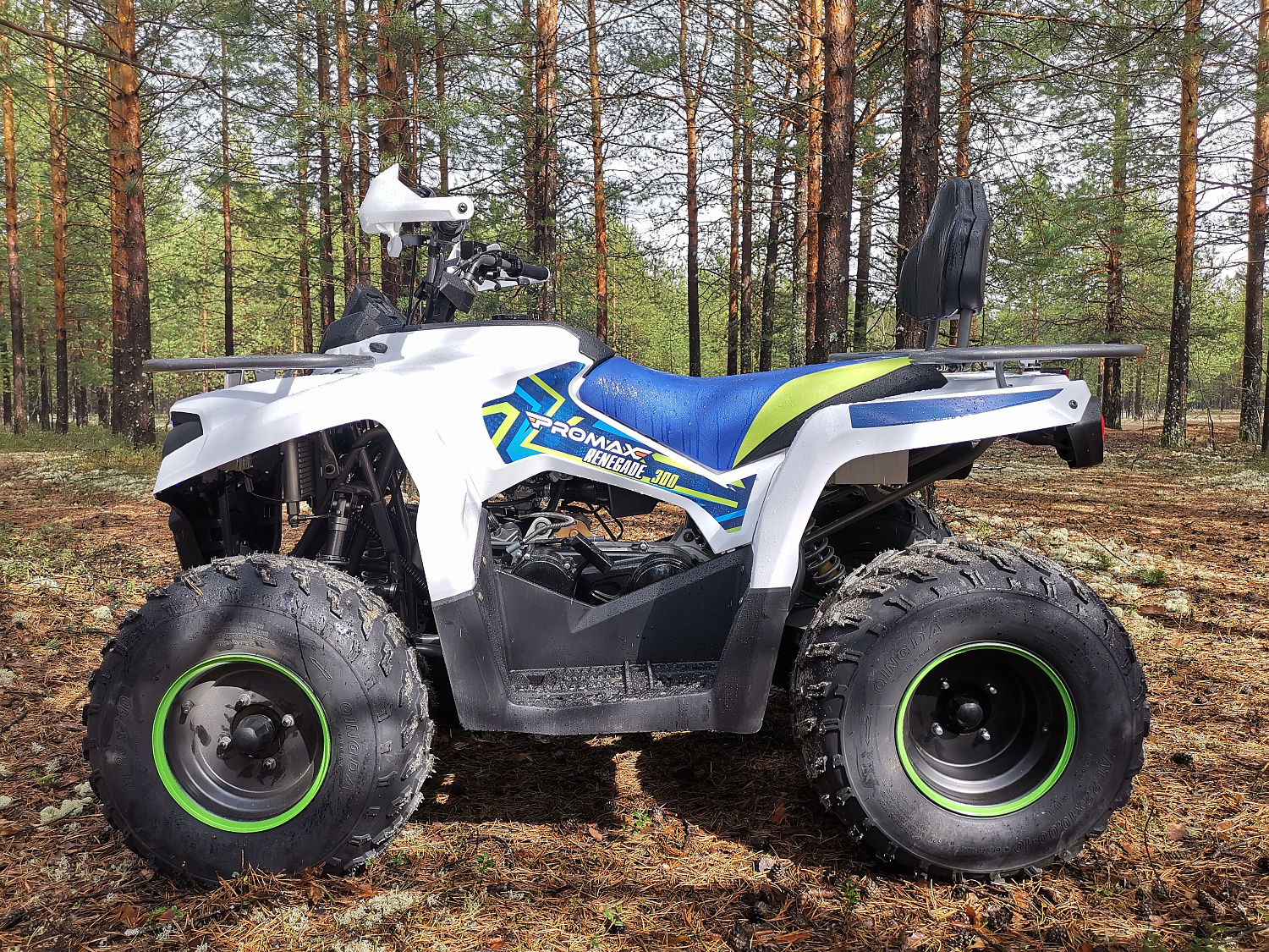 Квадроцикл PROMAX RENEGADE 280 (2025) в Щёлкове
