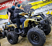 Квадроцикл PROMAX ATV 250 (2025) в Щёлкове
