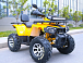 Квадроцикл MOTOLAND (МОТОЛЕНД) VOX200 WILD TRACK X PRO (баланс. вал) в Щёлкове