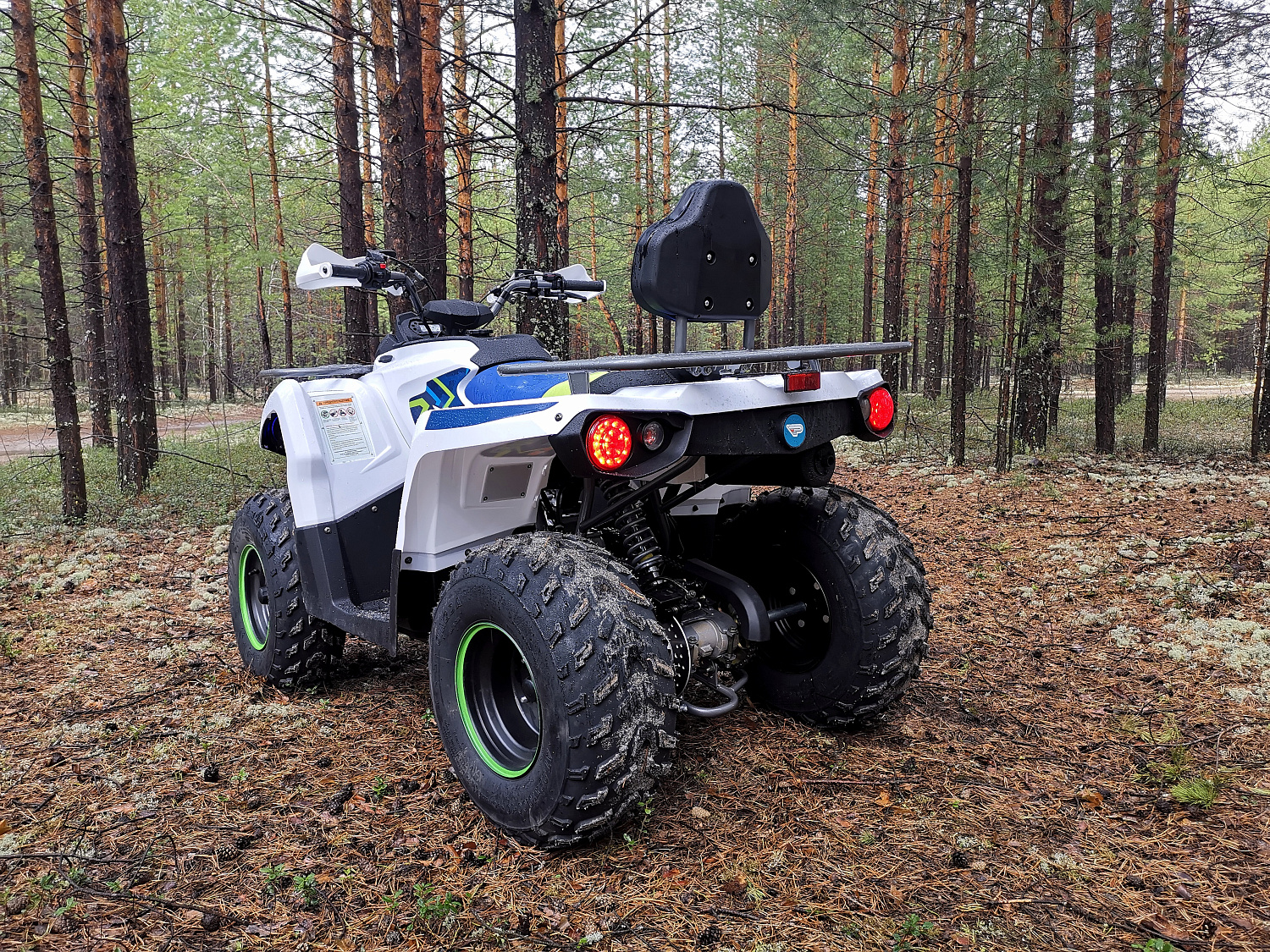 Квадроцикл PROMAX RENEGADE 280 (2025) в Щёлкове